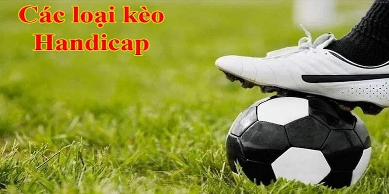 Kèo Handicap Cách Tính Kèo Handicap